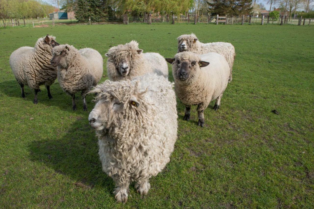 Boeren Biezen Bed Landelijk Villa Exteriör bild