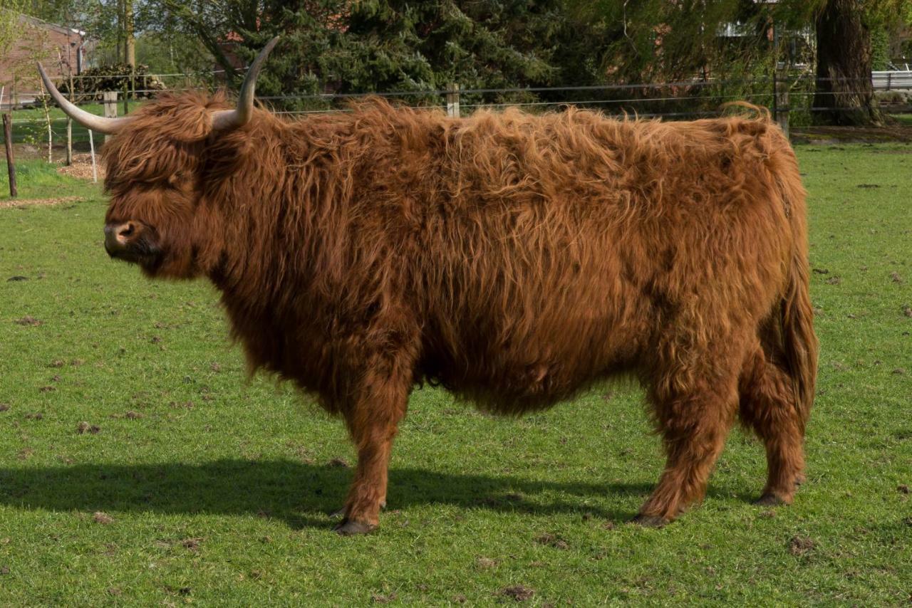 Boeren Biezen Bed Landelijk Villa Exteriör bild