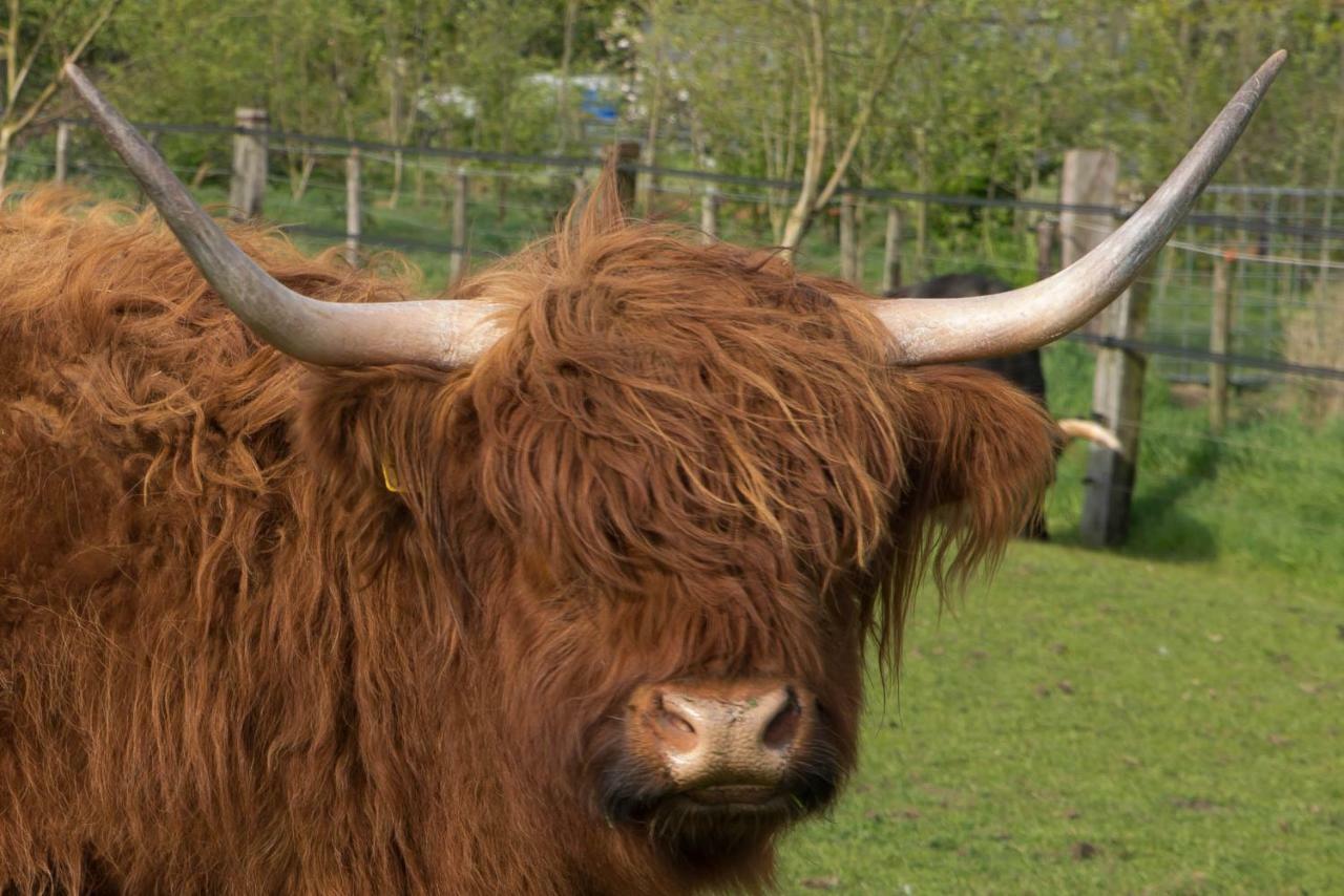 Boeren Biezen Bed Landelijk Villa Exteriör bild