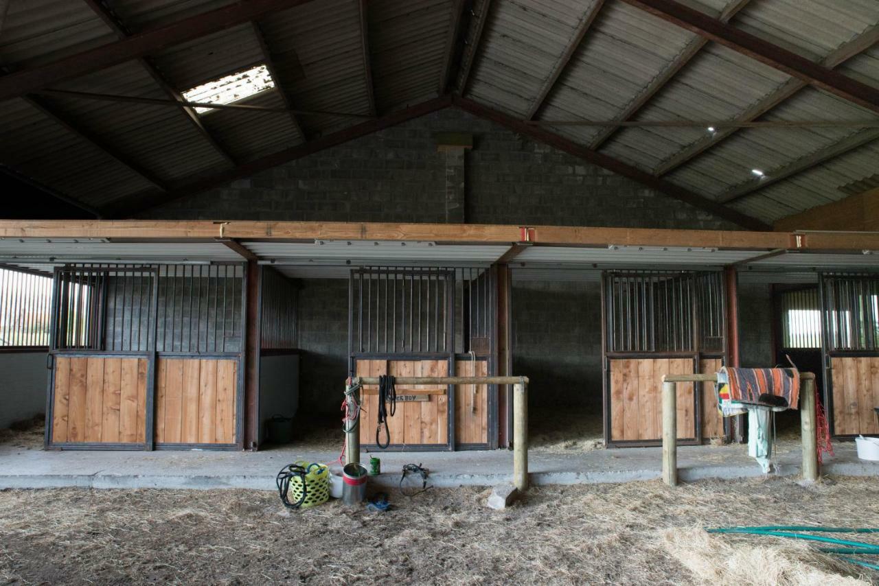Boeren Biezen Bed Landelijk Villa Exteriör bild