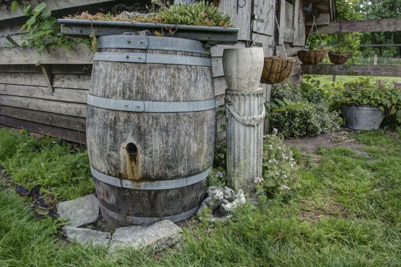 Boeren Biezen Bed Landelijk Villa Exteriör bild
