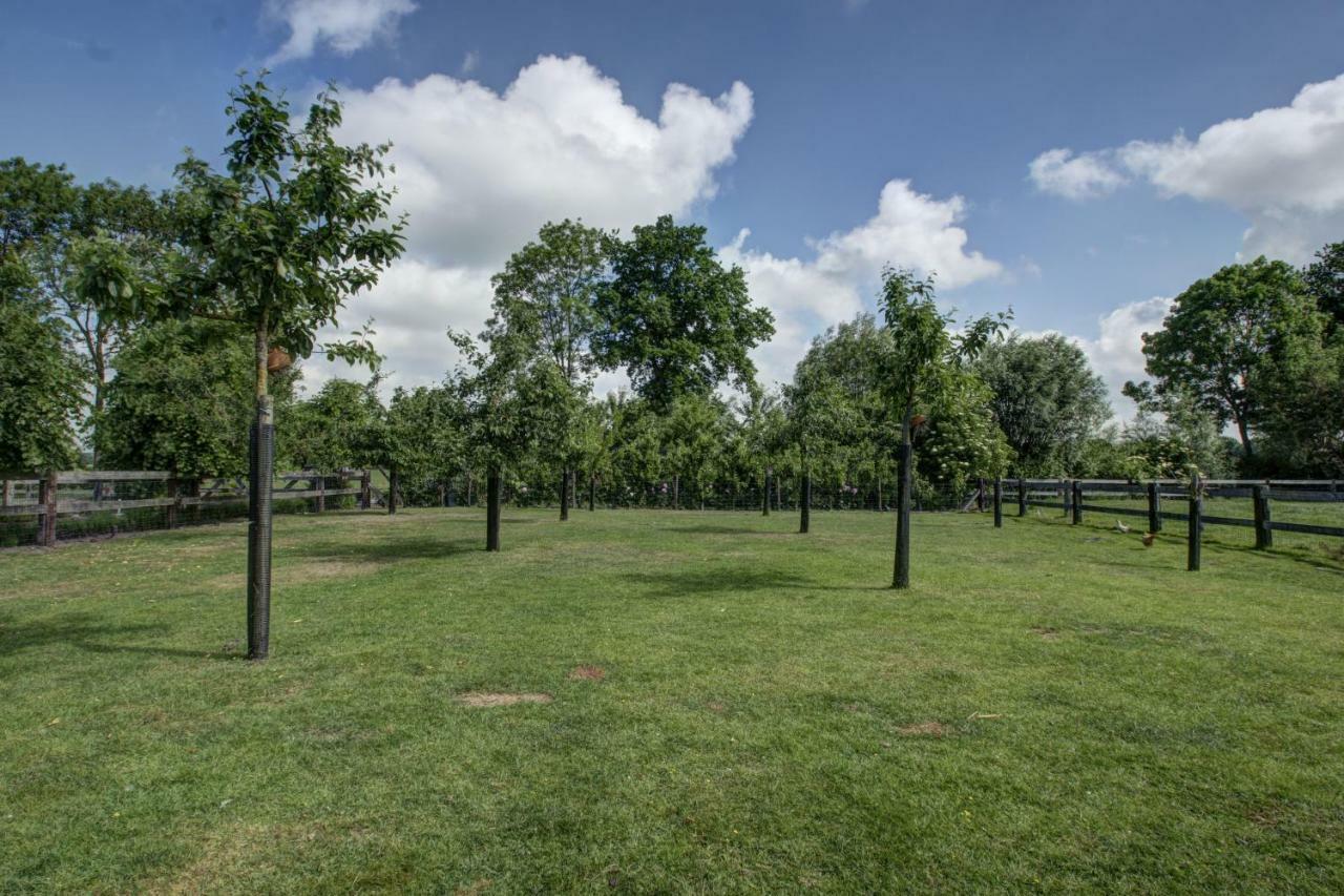 Boeren Biezen Bed Landelijk Villa Exteriör bild