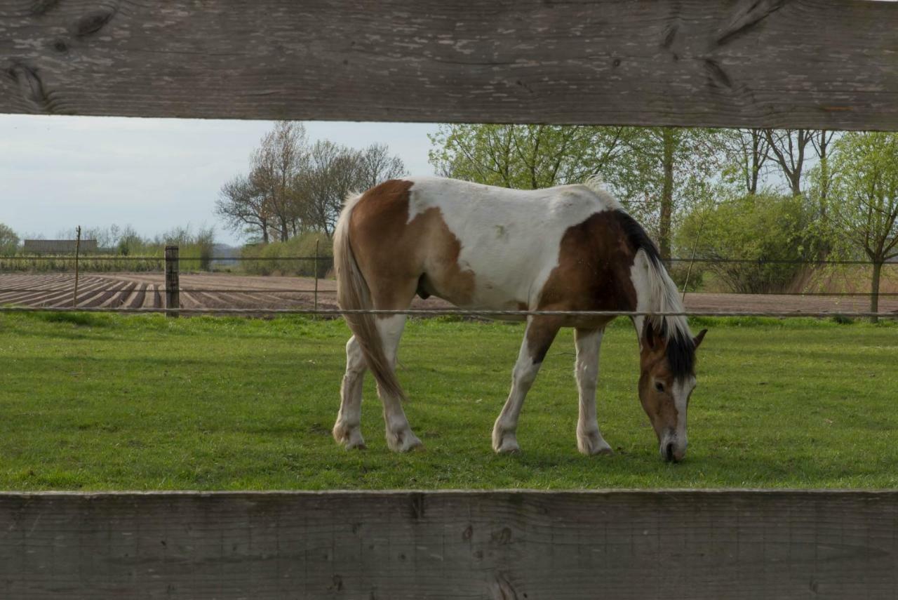 Boeren Biezen Bed Landelijk Villa Exteriör bild