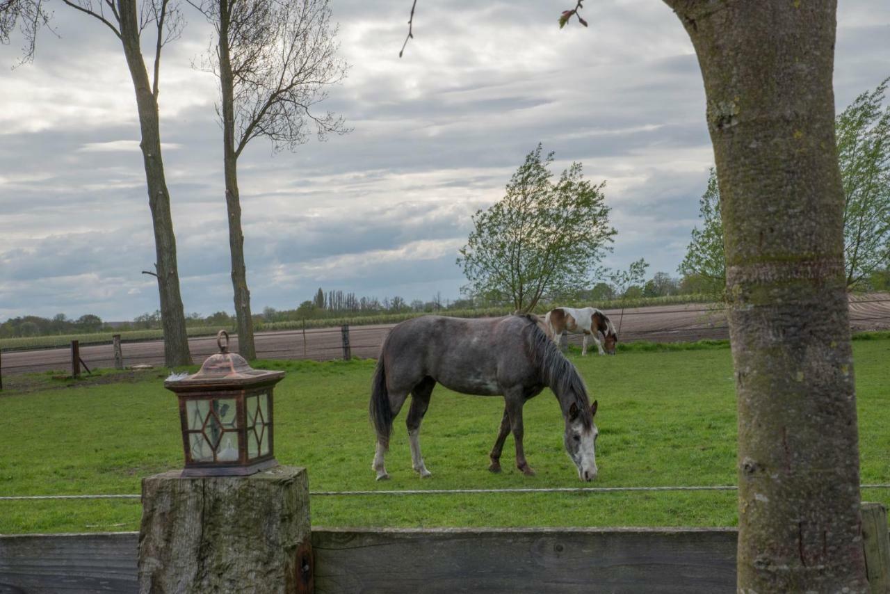 Boeren Biezen Bed Landelijk Villa Exteriör bild