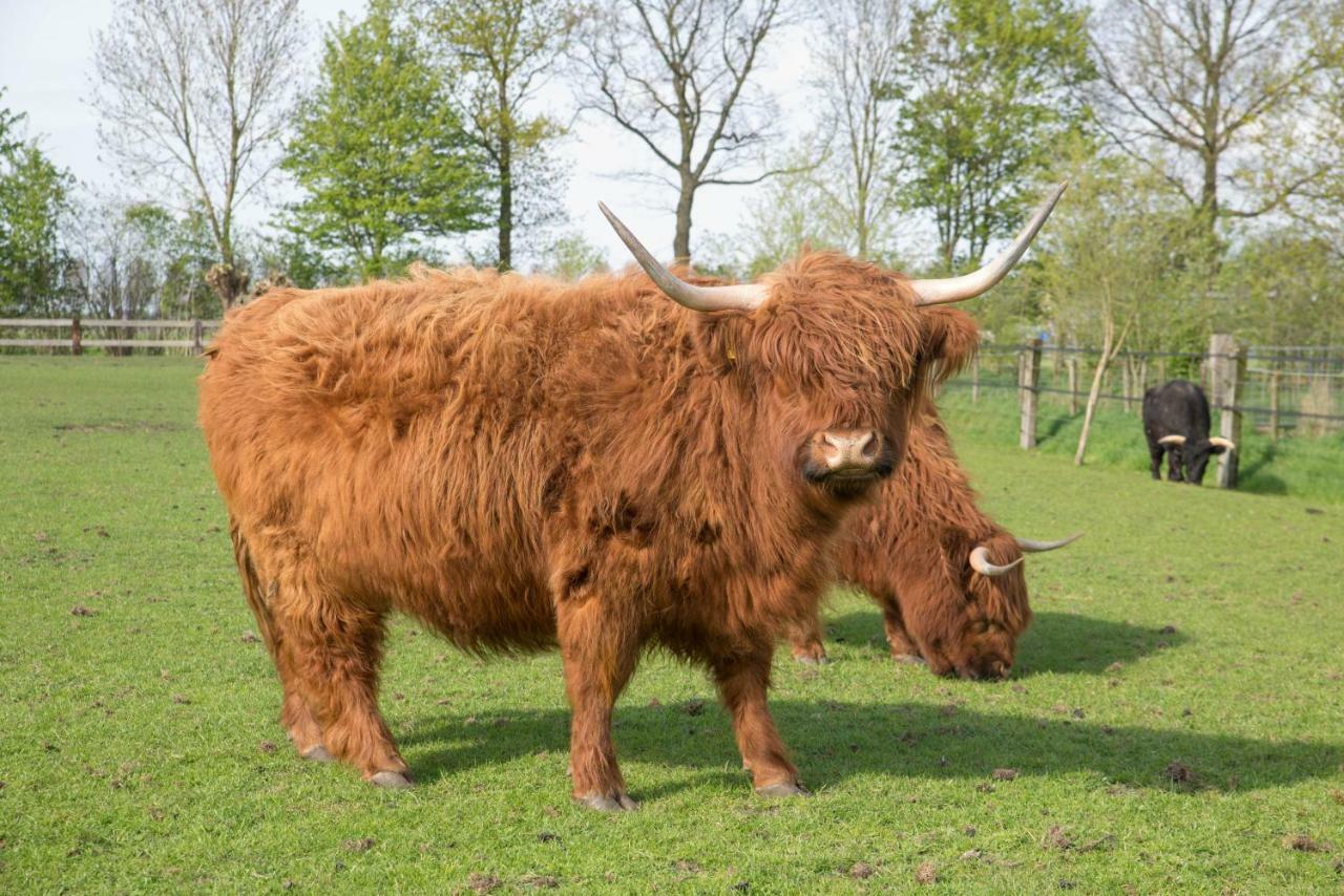 Boeren Biezen Bed Landelijk Villa Exteriör bild