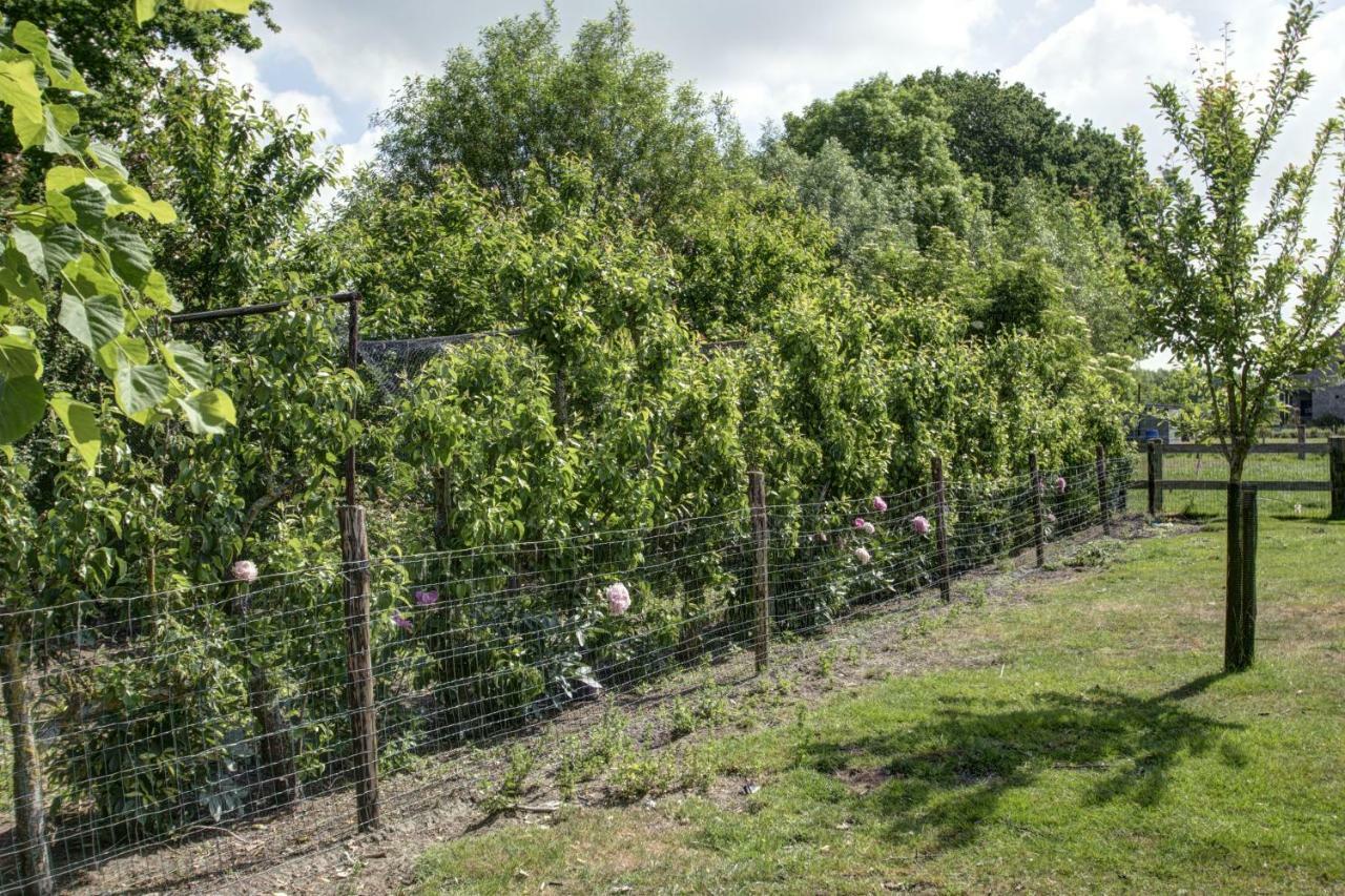 Boeren Biezen Bed Landelijk Villa Exteriör bild